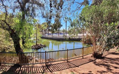 Paradise pool spain en La Eliana