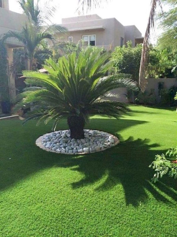 PLANTAS Paradise Pools Spain España