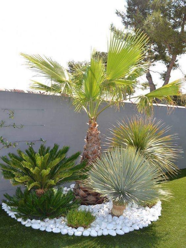 PLANTAS Paradise Pools Spain España