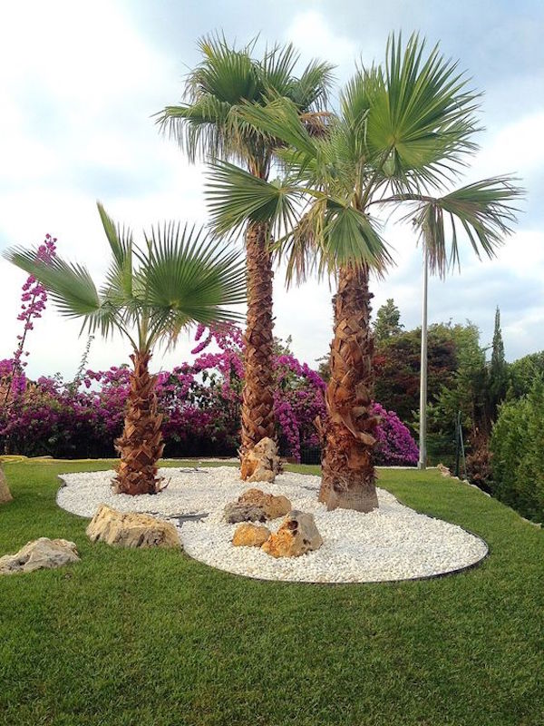 PLANTAS Paradise Pools Spain España